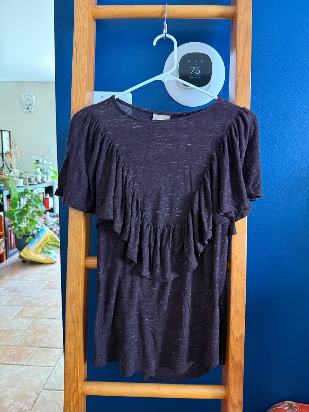 Anthropologie Ruffled Sleeve Dark Purple Plum Top